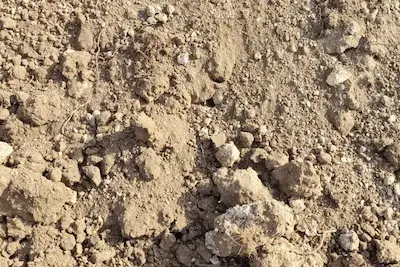 Terre végétale Brute